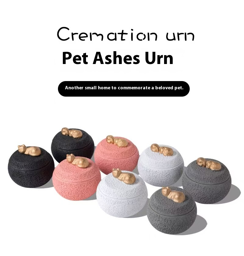 Pawlsle Trails Puppy and kitten memorial box storage box shaped urn.