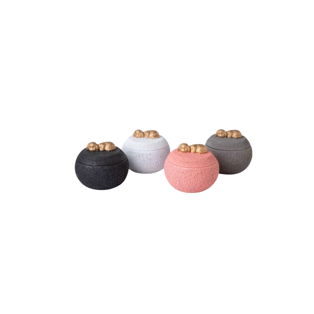Pawlsle Trails Puppy and kitten memorial box storage box shaped urn.