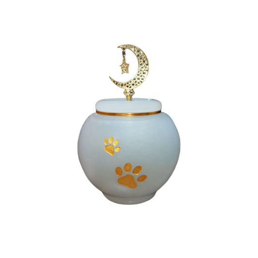 Pawlsle Trails Pet urn supplies, pet funeral supplies, light luxury high-end urn, moisture-proof urn Light Luxury Planet Urn