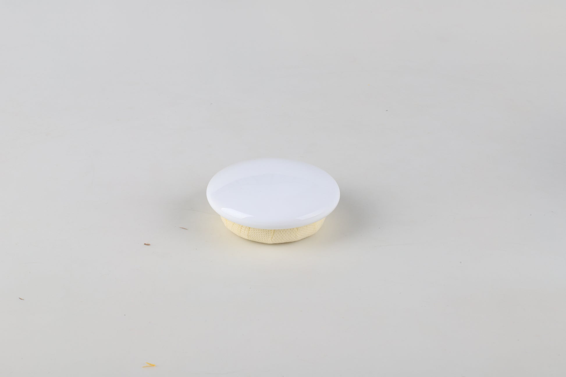 Pawlsle Trails Porcelain painted urn